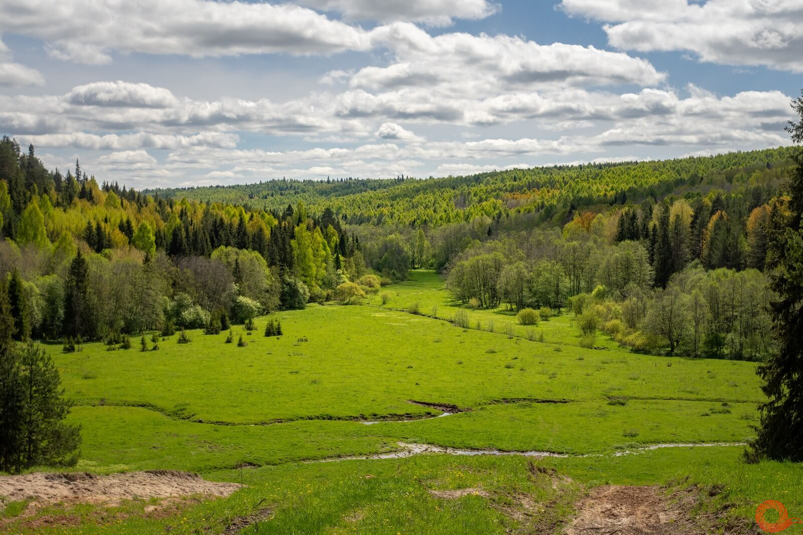 Forested Mari landscape